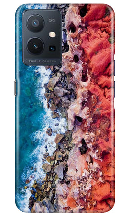 Lion Case for Vivo Y75 5G / Vivo T1 5G (Design No. 241)