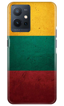 Color Pattern Mobile Back Case for Vivo Y75 5G / Vivo T1 5G (Design - 333)