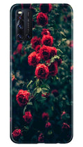 Red Rose Case for Vivo V19