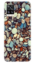 Pebbles Case for Vivo V20 Pro (Design - 205)