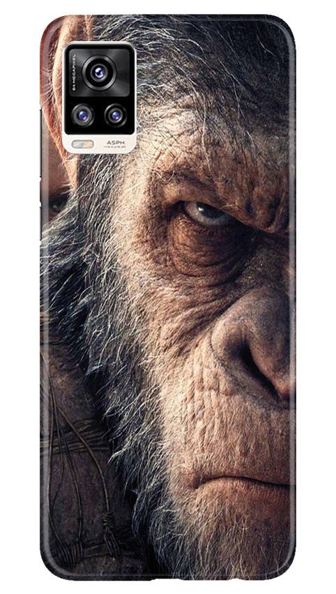 Angry Ape Mobile Back Case for Vivo V20 (Design - 316)