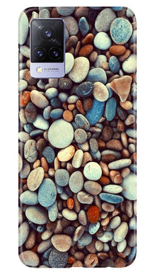 Pebbles Mobile Back Case for Vivo V21 5G (Design - 205)