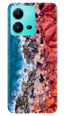 Lion Mobile Back Case for Vivo V25 5G (Design - 241)