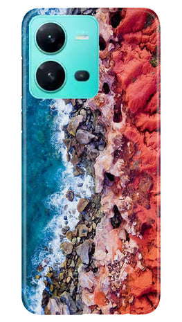 Lion Case for Vivo V25 5G (Design No. 241)