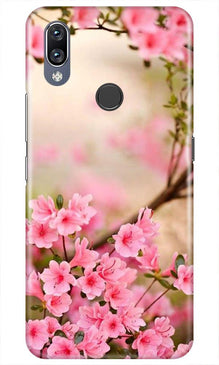 Pink flowers Mobile Back Case for Vivo Y11 (Design - 69)