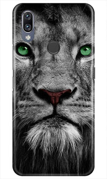 Lion Mobile Back Case for Vivo Y11 (Design - 272)