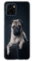 little Puppy Case for Vivo Y15s