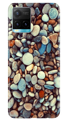 Pebbles Mobile Back Case for Vivo Y33s (Design - 205)