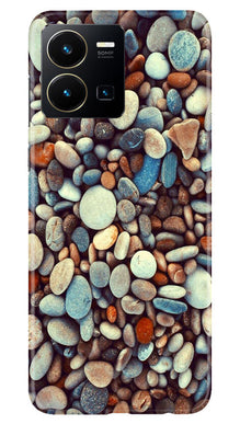 Pebbles Mobile Back Case for Vivo Y35 (Design - 174)