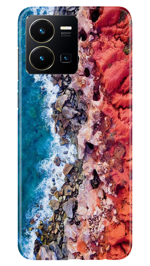 Lion Case for Vivo Y35 (Design No. 241)