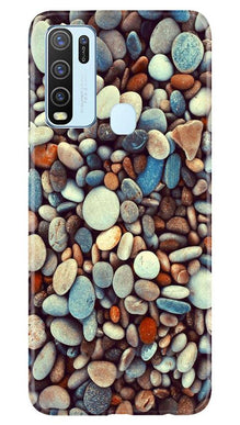 Pebbles Mobile Back Case for Vivo Y30 (Design - 205)