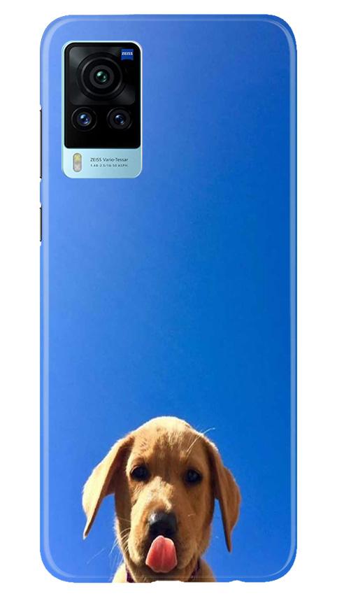 Dog Mobile Back Case for Vivo X60 Pro (Design - 332)