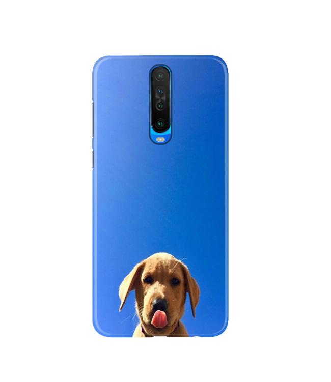 Dog Mobile Back Case for Poco X2  (Design - 332)