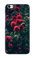 Red Rose Case for Vivo Y71