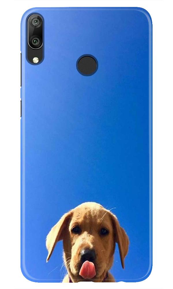 Dog Mobile Back Case for Huawei Y7 (2019) (Design - 332)