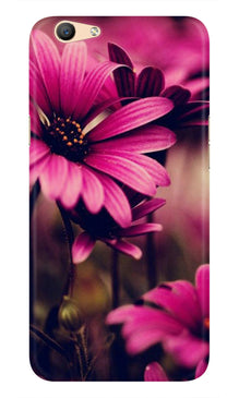 Purple Daisy Mobile Back Case for Vivo Y81i (Design - 65)
