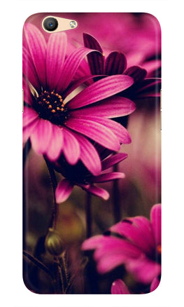 Purple Daisy Case for Vivo Y81i