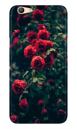 Red Rose Case for Vivo Y81i