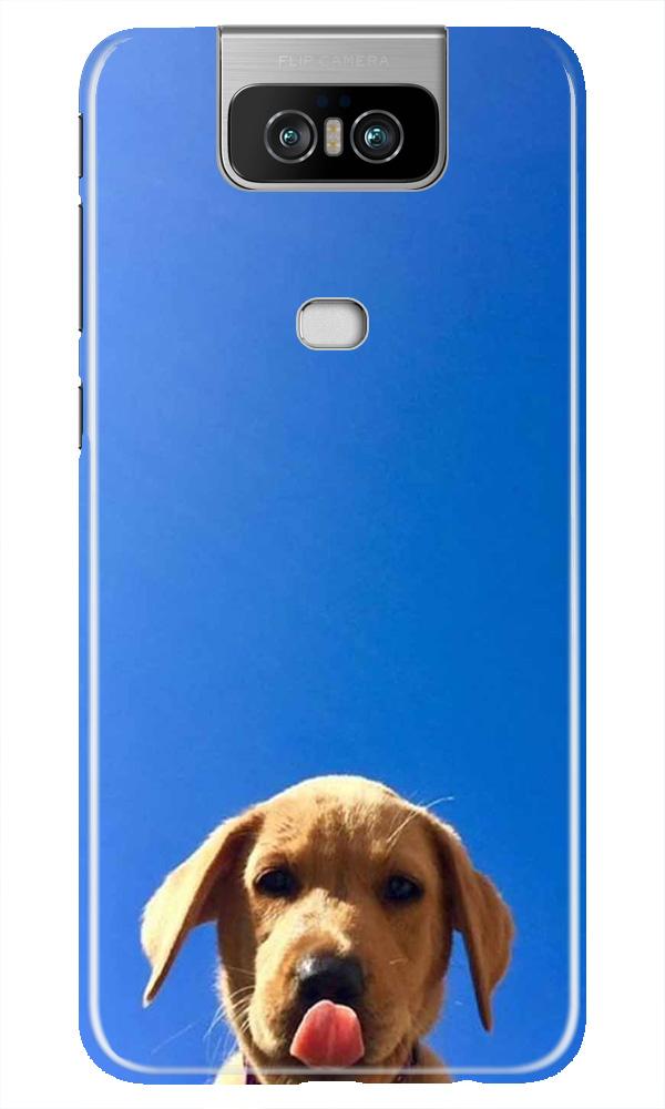Dog Mobile Back Case for Asus Zenfone 6z (Design - 332)