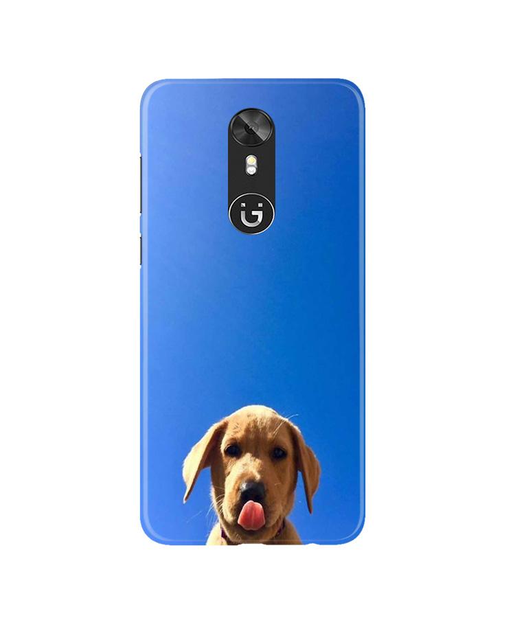 Dog Mobile Back Case for Gionee A1 (Design - 332)