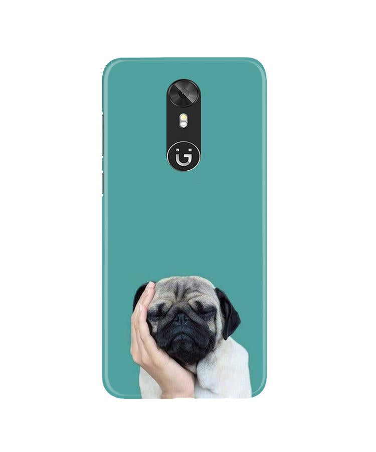 Puppy Mobile Back Case for Gionee A1 (Design - 333)
