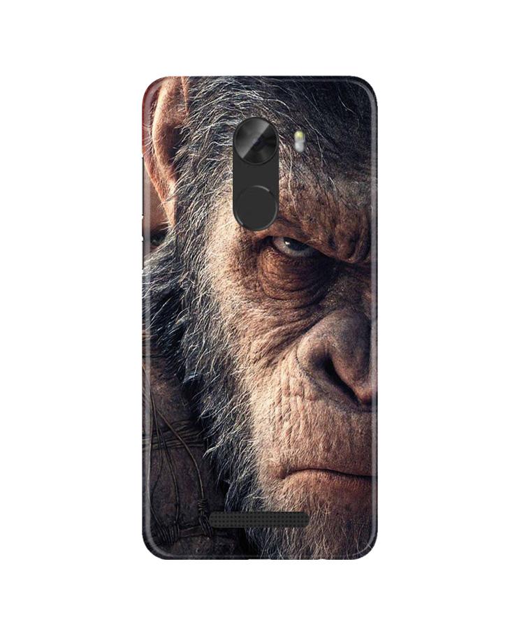 Angry Ape Mobile Back Case for Gionee A1 Lite (Design - 316)