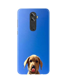 Dog Mobile Back Case for Gionee A1 Plus (Design - 332)
