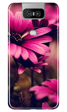 Purple Daisy Case for Asus Zenfone 6z