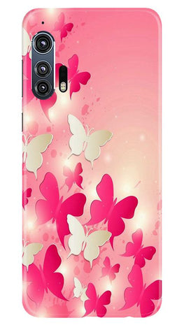 White Pick Butterflies Case for Moto Edge Plus