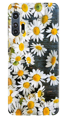 White flowers2 Mobile Back Case for Moto Edge Plus (Design - 62)