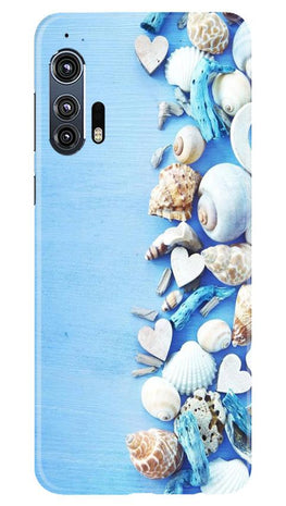 Sea Shells2 Case for Moto Edge Plus