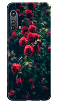 Red Rose Case for Moto Edge Plus