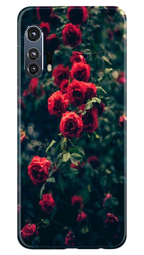 Red Rose Case for Moto Edge Plus