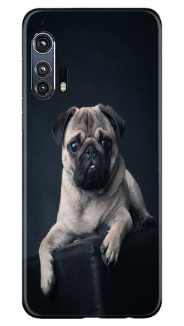 little Puppy Case for Moto Edge Plus