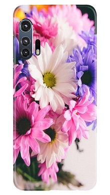 Coloful Daisy Mobile Back Case for Moto Edge Plus (Design - 73)