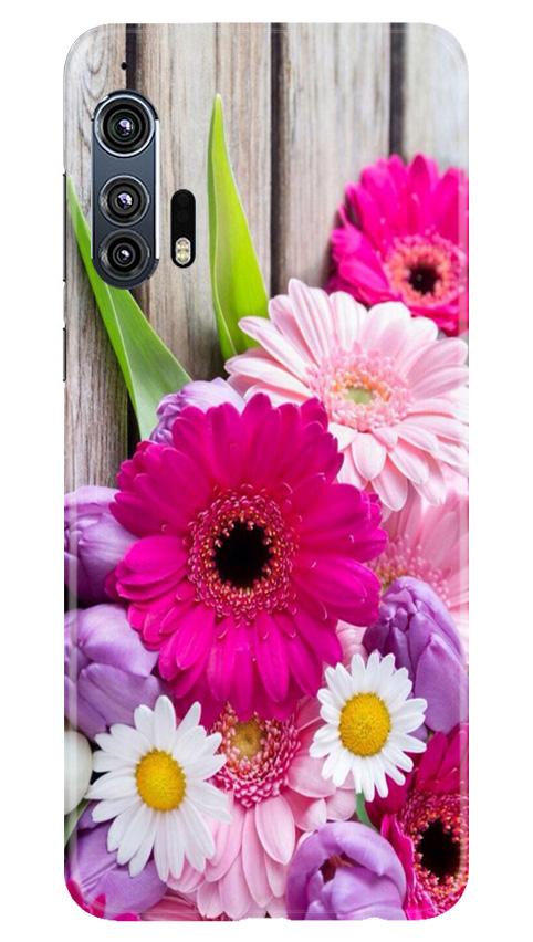 Coloful Daisy2 Case for Moto Edge Plus