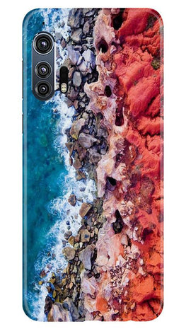 Lion Case for Moto Edge Plus (Design No. 272)