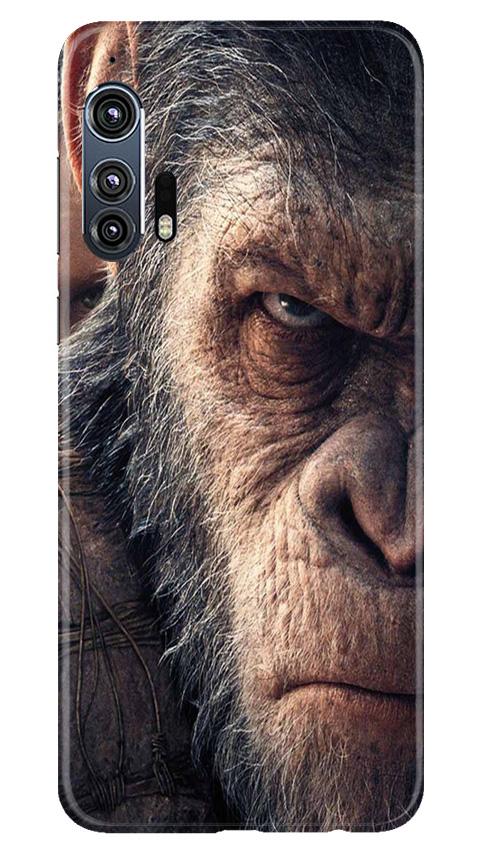 Angry Ape Mobile Back Case for Moto Edge Plus (Design - 316)
