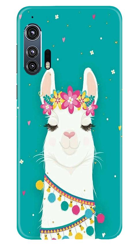 Camel Mobile Back Case for Moto Edge Plus (Design - 331)