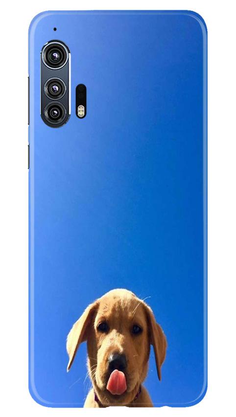 Dog Mobile Back Case for Moto Edge Plus (Design - 332)