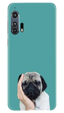 Puppy Mobile Back Case for Moto Edge Plus (Design - 333)