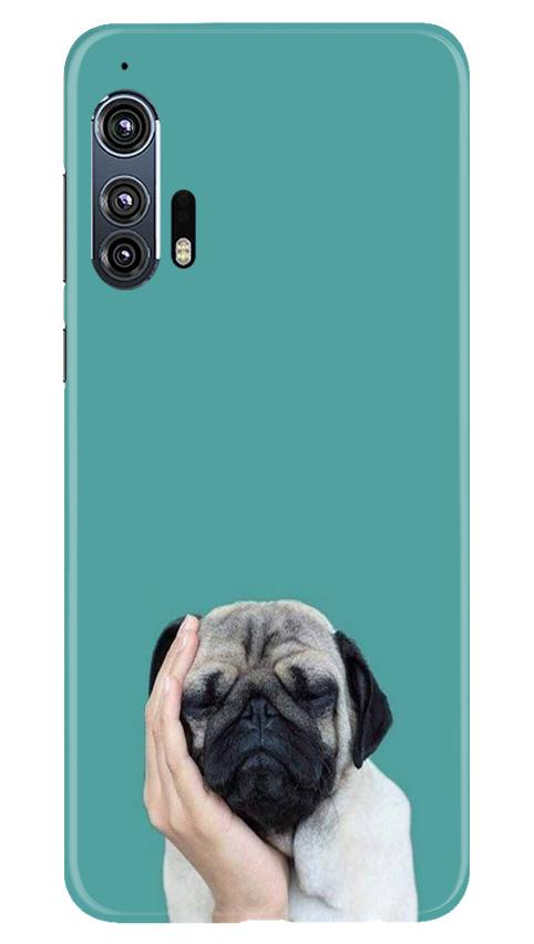 Puppy Mobile Back Case for Moto Edge Plus (Design - 333)
