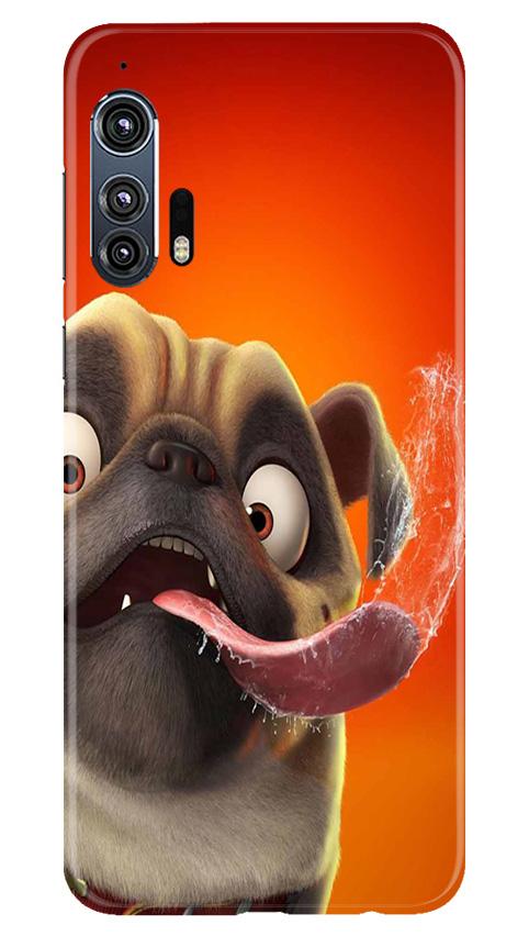 Dog Mobile Back Case for Moto Edge Plus (Design - 343)