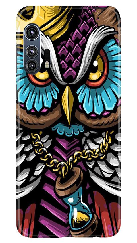 Owl Mobile Back Case for Moto Edge Plus (Design - 359)