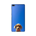 Dog Mobile Back Case for Gionee Elifi S7 (Design - 332)