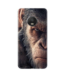 Angry Ape Mobile Back Case for Moto G5 (Design - 316)