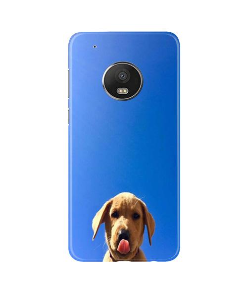 Dog Mobile Back Case for Moto G5 Plus (Design - 332)