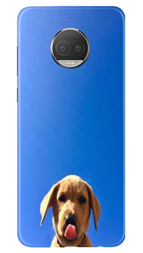 Dog Mobile Back Case for Moto G5s (Design - 332)