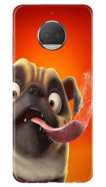 Dog Mobile Back Case for Moto G5s (Design - 343)
