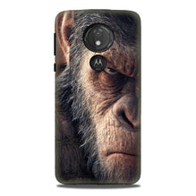 Angry Ape Mobile Back Case for G7power (Design - 316)